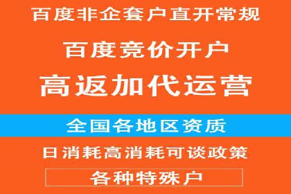 竞价广告策略案例分析